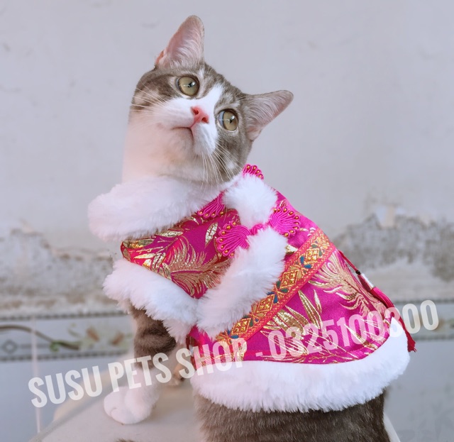 ĐỒ TẾT CHO CHÓ MÈO - GẤM TẾT TRUNG HOA