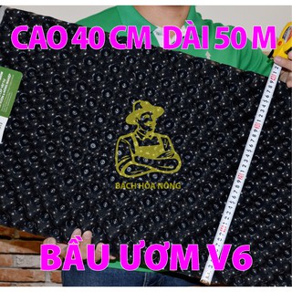 BẦU ƯƠM V6 TIÊU CHUẨN CUỘN DÀI 50M - CAO 40CM ĐỘ DẦY 0.6MM