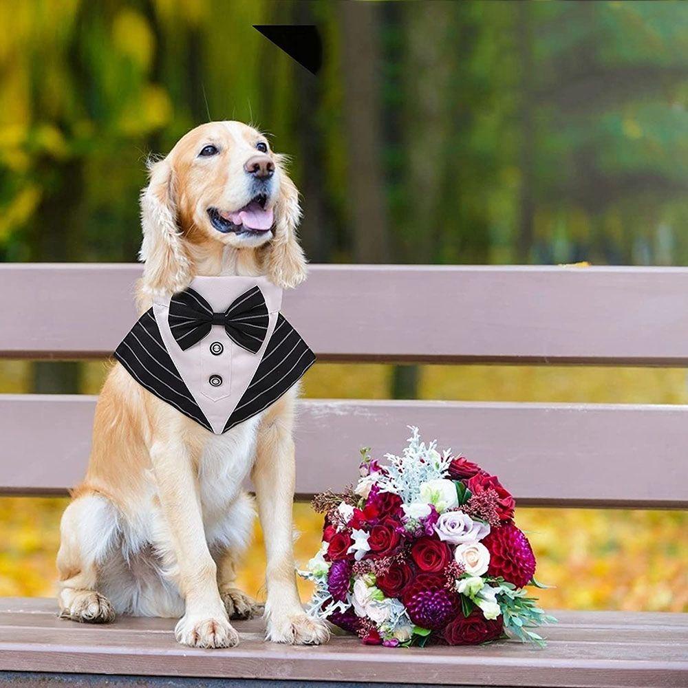 AUGUSTINA Khăn Choàng Cổ Thắt Nơ Có Thể Điều Chỉnh Cho Thú Cưng