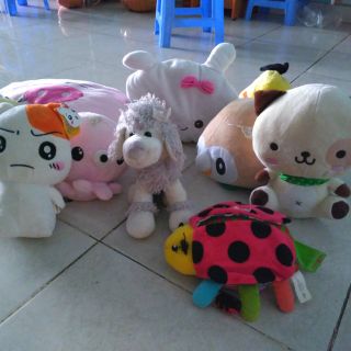 Gau cua thu ky