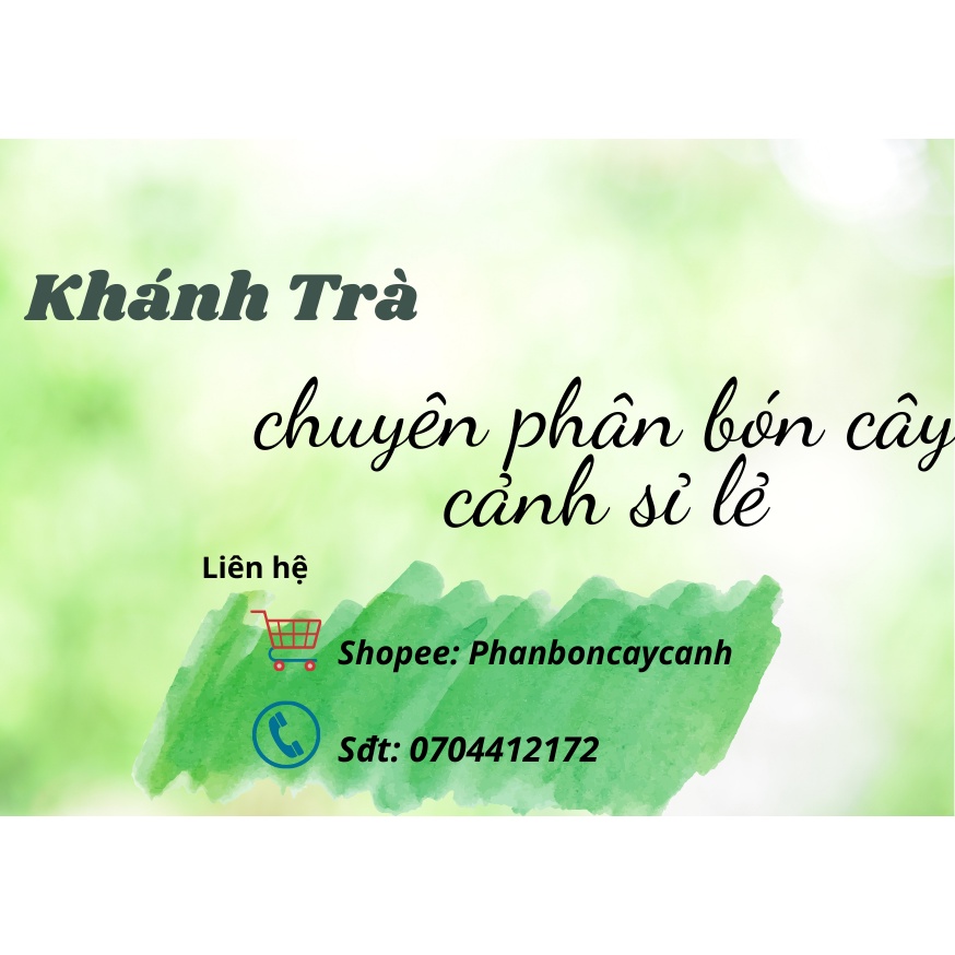 Phân bón cho sen súng và cây thủy sinh bịch 24 viên