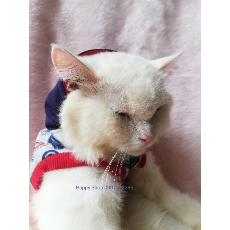 Áo Thun 2 Lớp Cho Chó Mèo Áo Hoodie Có Mũ Đồ Noel Chó Mèo
