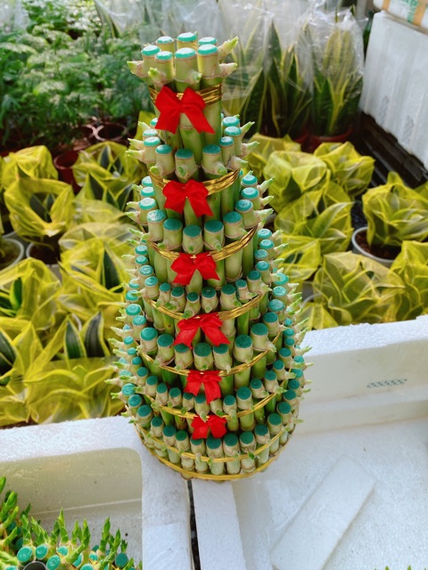 Trúc Phát Tài 7 tầng kèm dĩa