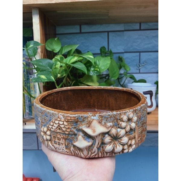 Chậu sứ Oval trồng cây cảnh, bonsai