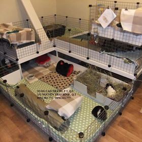 CHUỒNG MÈO LẮP GHÉP 2 tầng gồm 17 tấm ghép 35x35cm gồm 15 lưới, 1 cửa và 1 tấm nhựa ghép