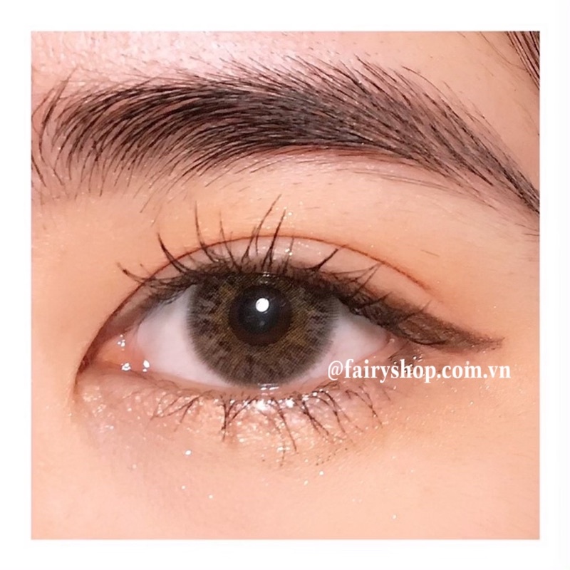 Áp tròng TEA BROWN 14.0mm - Kính Áp Tròng FAIRY SHOP CONTACT LENS độ 0 đến 6