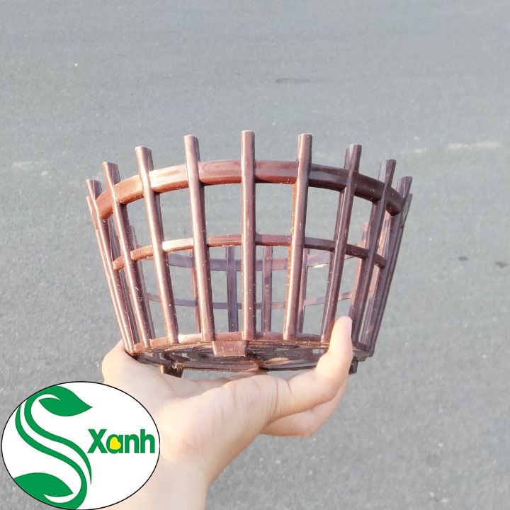 Chậu Trồng Lan, Fi 18