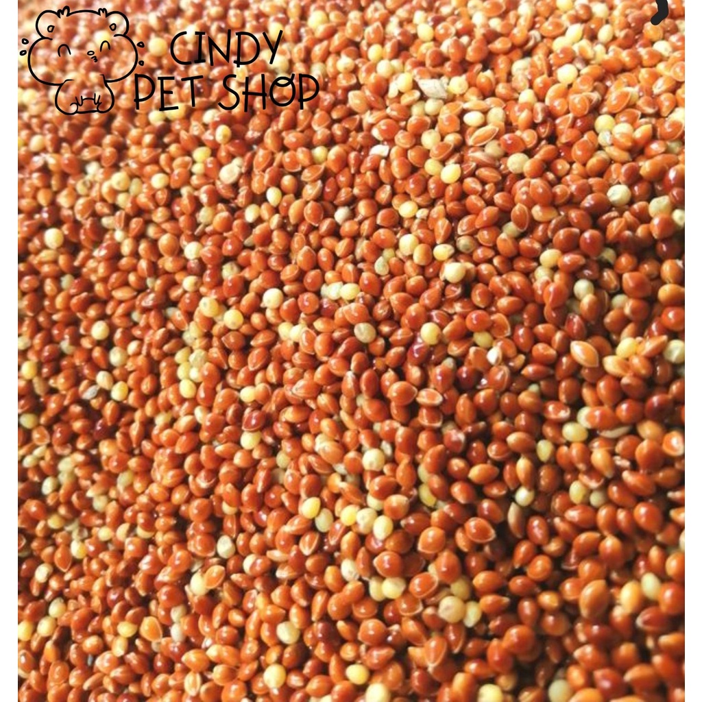 Kê đỏ 1kg - thức ăn cho thú nhỏ, Hamster, Chim kiểng...