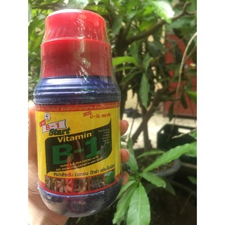 Vitamin B1 Thái lan chuyên dùng cho hoa lan - Chai 500ml