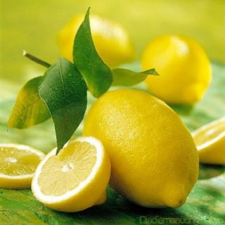 Cây 🌲 🍋 Chanh Mỹ.... vàng