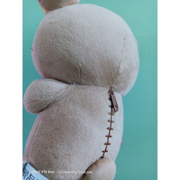 Gấu bông Rilakkuma y ảnh