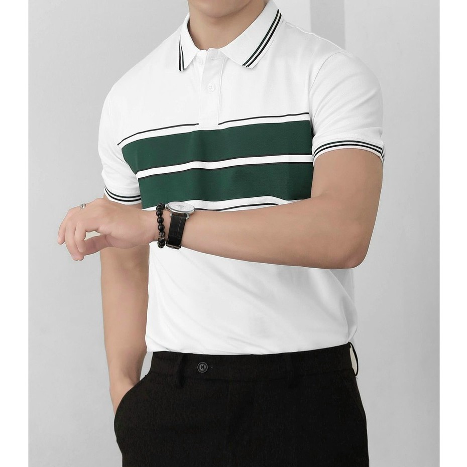 Áo thun polo nam ngắn tay có cổ Cao Cấp | BigBuy360 - bigbuy360.vn