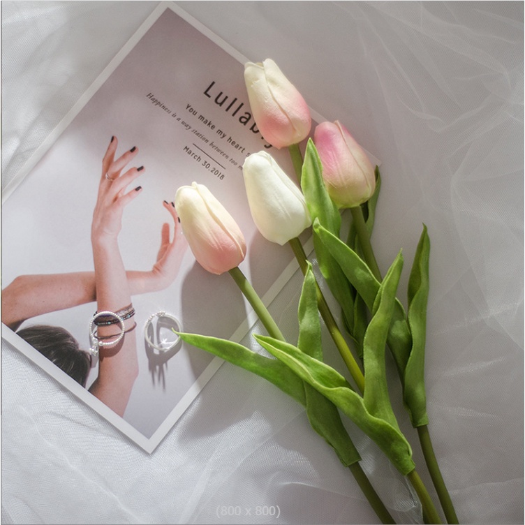 TẤM POSCARD KHỔ LỚN, Hình ảnh đẹp sắc nét, phụ kiện decor chụp ảnh siêu đẹp