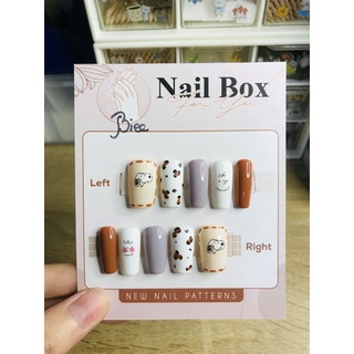 Nailbox thiết kế