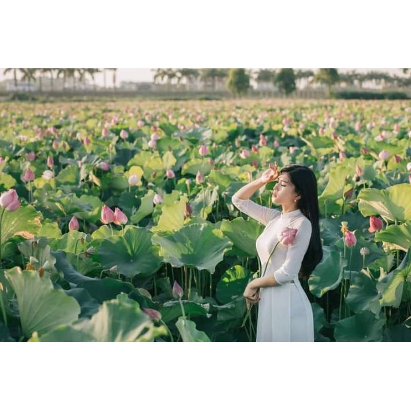 Áo dài trắng 4 tà thanh lý