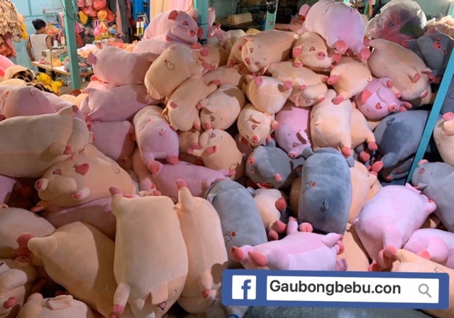 Gấu Bông Heo Lợn Mắt Híp, Heo Phê Cần gối ôm