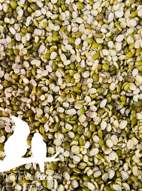 1KG ĐẬU XANH BỂ ĐÔI nguyên liệu làm bánh, nấu chè.