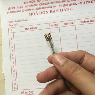 Mô tơ cánh vẫy to