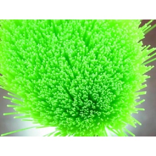 Combo 10chổi lọc nước 80 cm nano star mountain tree - vật liệu lọc hồ cá