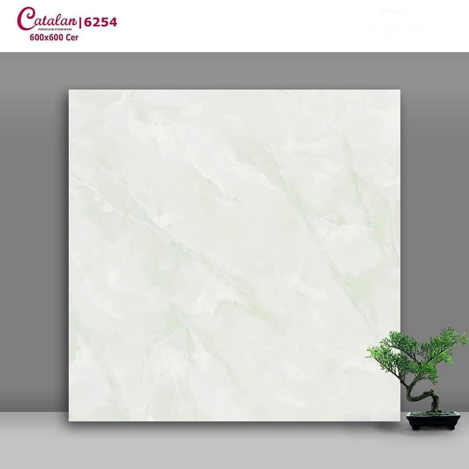 Gạch lát nền Catalan 60×60 HT6254