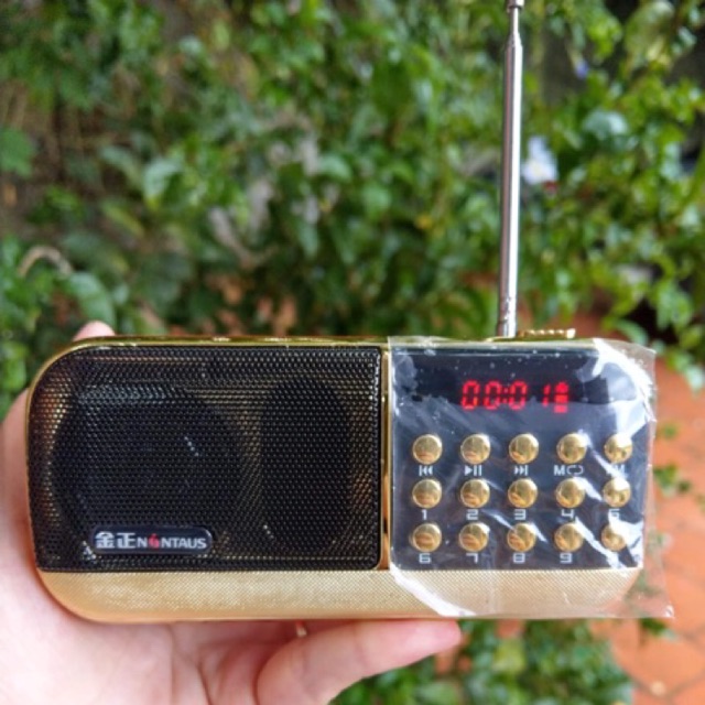 Compo Loa + Usb, thẻ nhớ
