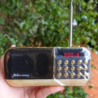 Compo Loa + Usb, thẻ nhớ