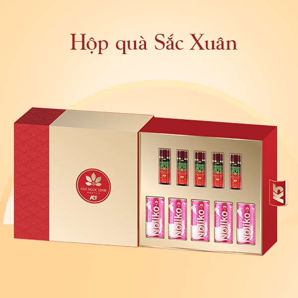 [Quà Tết] Hộp Quà Sắc Xuân - Sâm Ngọc Linh Kon Tum K5 Chính Hãng