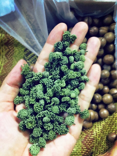 Nụ hoa tam thất Bắc loại 1 túi 0,5kg