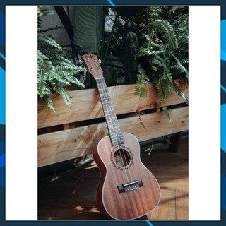 Đàn Ukulele Concert 23inch Music