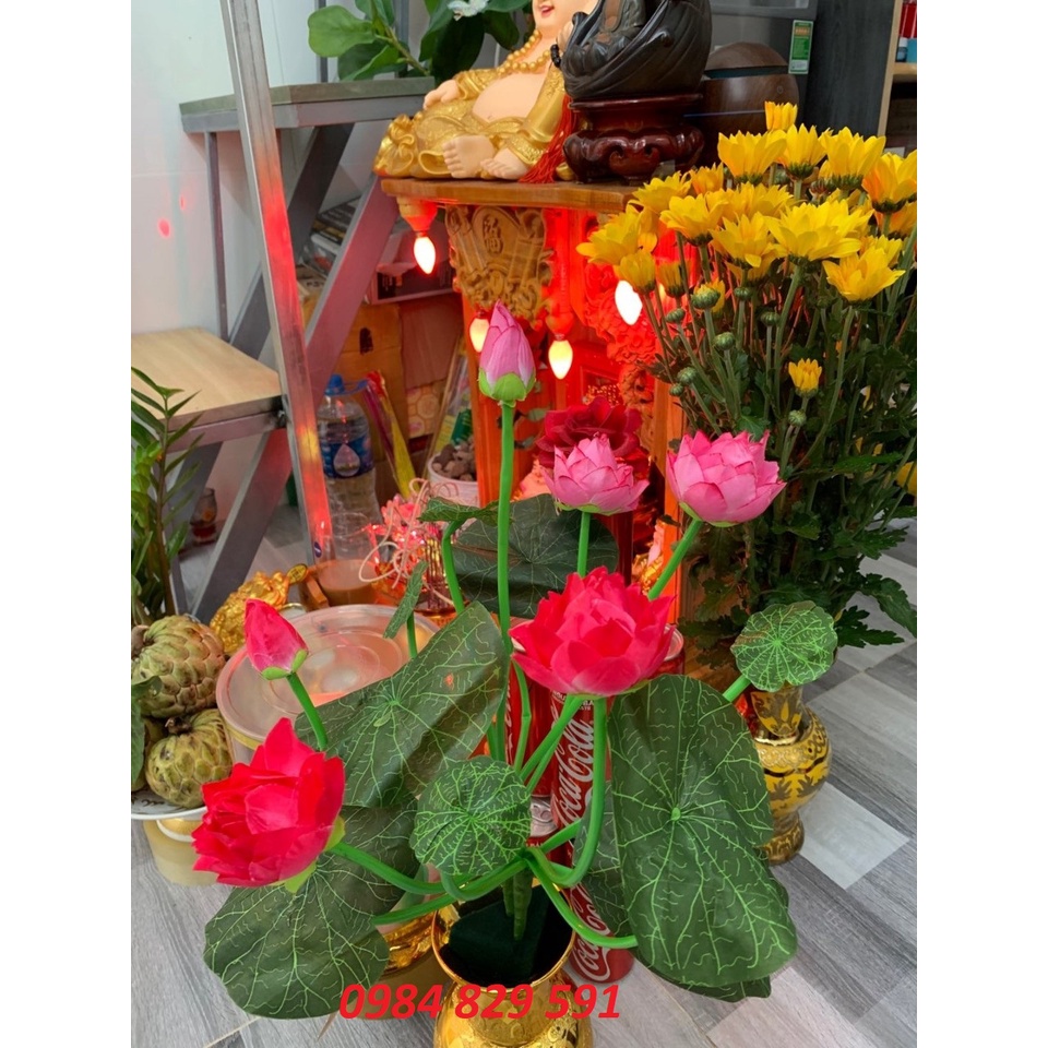 Cụm Hoa Sen 9 Nhánh 50CM, Có Đài Sen