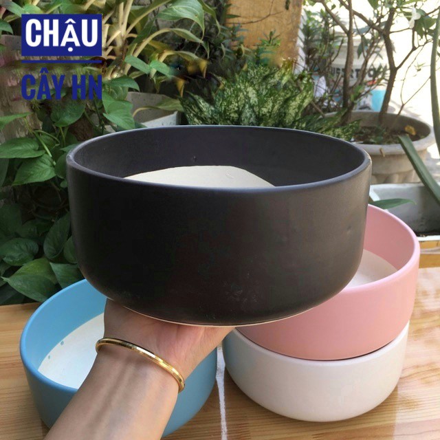 TẶNG KÈM( 200G ĐẤT TRỘN CAO CẤP) Chậu Sứ Trồng Cây Cảnh Mini, Sen đá, Xương rồng, Tiểu Cảnh Terrarium Hình Trụ Thấp