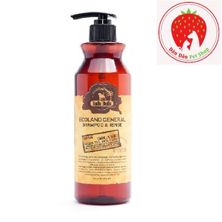 Bàn chải đánh răng Budle'Budle