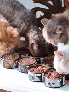 Pate Cho Mèo Teb Canada