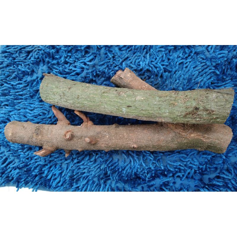 Gỗ nhãn ghép lan