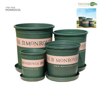 [Giá đẹp] combo 4 châu monrovia số 3 + 2 chậu monrovia số 5 màu xanh cực đẹp.