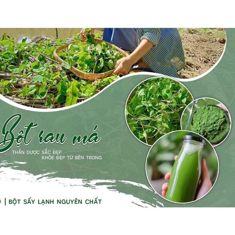 Bột Rau Má Nguyên Chất Sấy Lạnh - Thanh nhiệt cơ thể, ngừa lão hoá