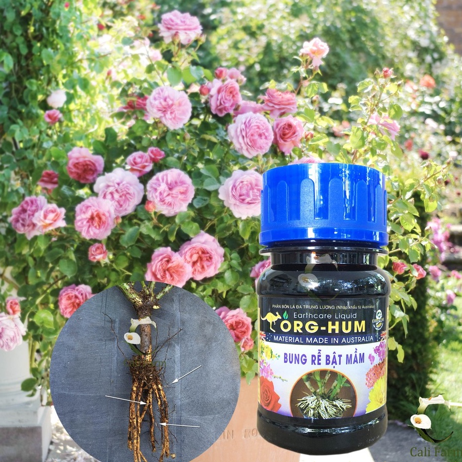 Phân bón lá Org Hum Ra Rễ Bật Mầm 100ml