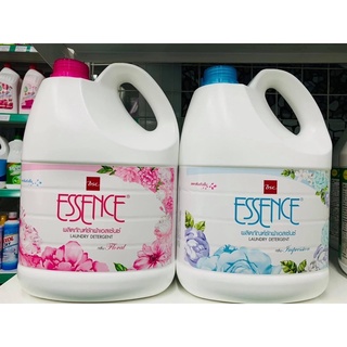 nước giặt essence