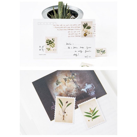 Hộp 45 hình dán sticker trang trí hình lá cây M924