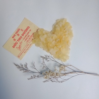 Hạt bồ mễ 100g