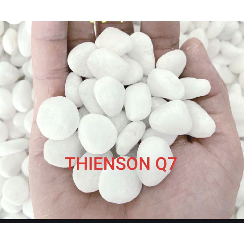 1Kg Sỏi Trắng Tự Nhiên Trang Trí Hồ Cá, Chậu Cây