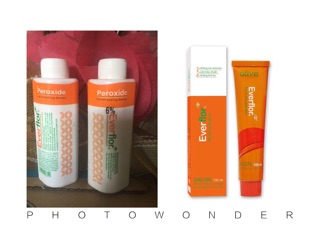 Combo nhuộm+ Oxy nhỏ Everflor 100ml