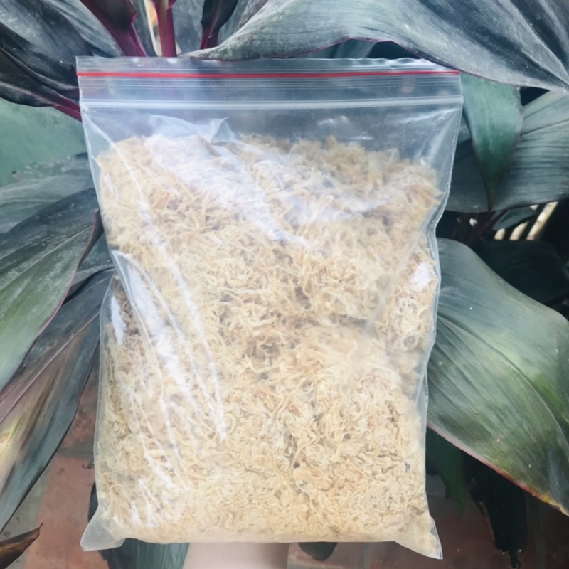 Chà Bông Heo Nhà Làm | BigBuy360 - bigbuy360.vn