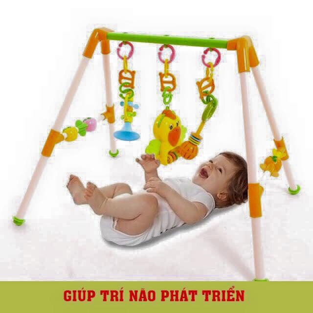 Kệ a vẹt phát nhạc cho bé yêu 