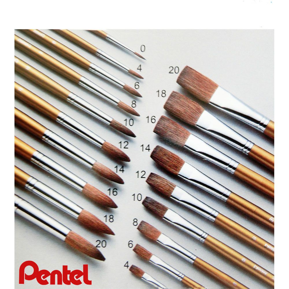 Cọ Màu Nước Pentel ZBS1 | Đầu Cọ Mềm Mượt | Nhiều Kích Cỡ Khác Nhau