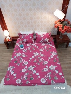 Bộ ga chun cotton Hàn Quốc 1,6*2m