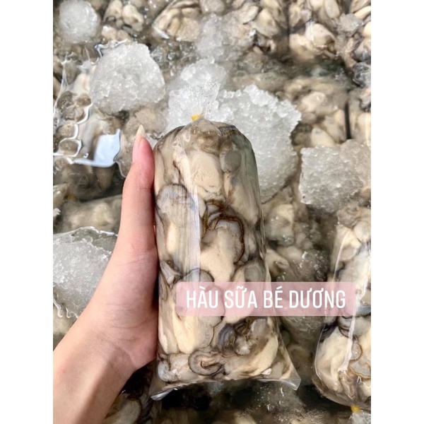 Ruột Hàu Sữa giá sỉ