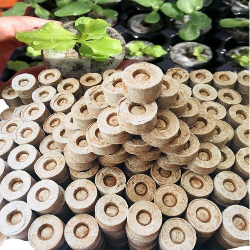 Thùng 1000 viên ươm xơ dừa, viên nén ươm hạt trồng cây - Shop bán sỉ Tạ Gia Trang