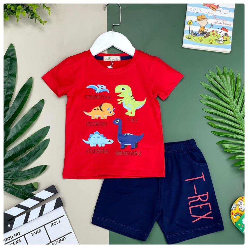 Bộ quần áo thun cotton hình đàn khủng long litibaby. Mã BDKL01