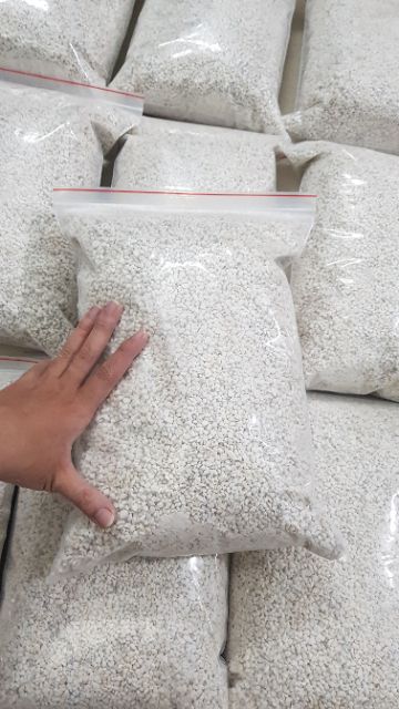 Đất ấp trứng bò sát (túi 400 gram)